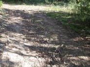 Development site Cuttoli Corticchiato