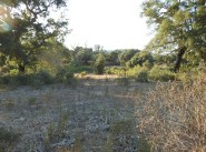 Development site Eccica Suarella