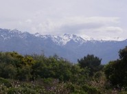 Development site Lumio