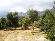 Development site Peri