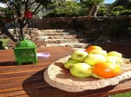 Holiday seasonal rental Calenzana