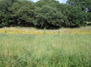 Purchase sale development site Eccica Suarella