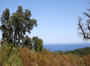 Purchase sale development site Sari Solenzara